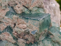 Natural XL Green Fluorite Cluster Specimens x 3 From Mandrosonoro, Madagascar