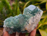 Natural XL Green Fluorite Cluster Specimens x 3 From Mandrosonoro, Madagascar