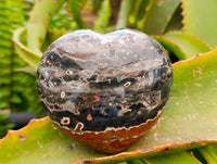 Polished Mix of Different Ocean Jasper Items x 3 From Northwest Coast, Madagascar