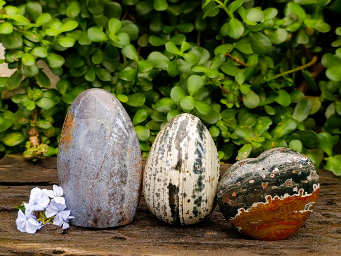 Polished Mix of Different Ocean Jasper Items x 3 From Northwest Coast, Madagascar