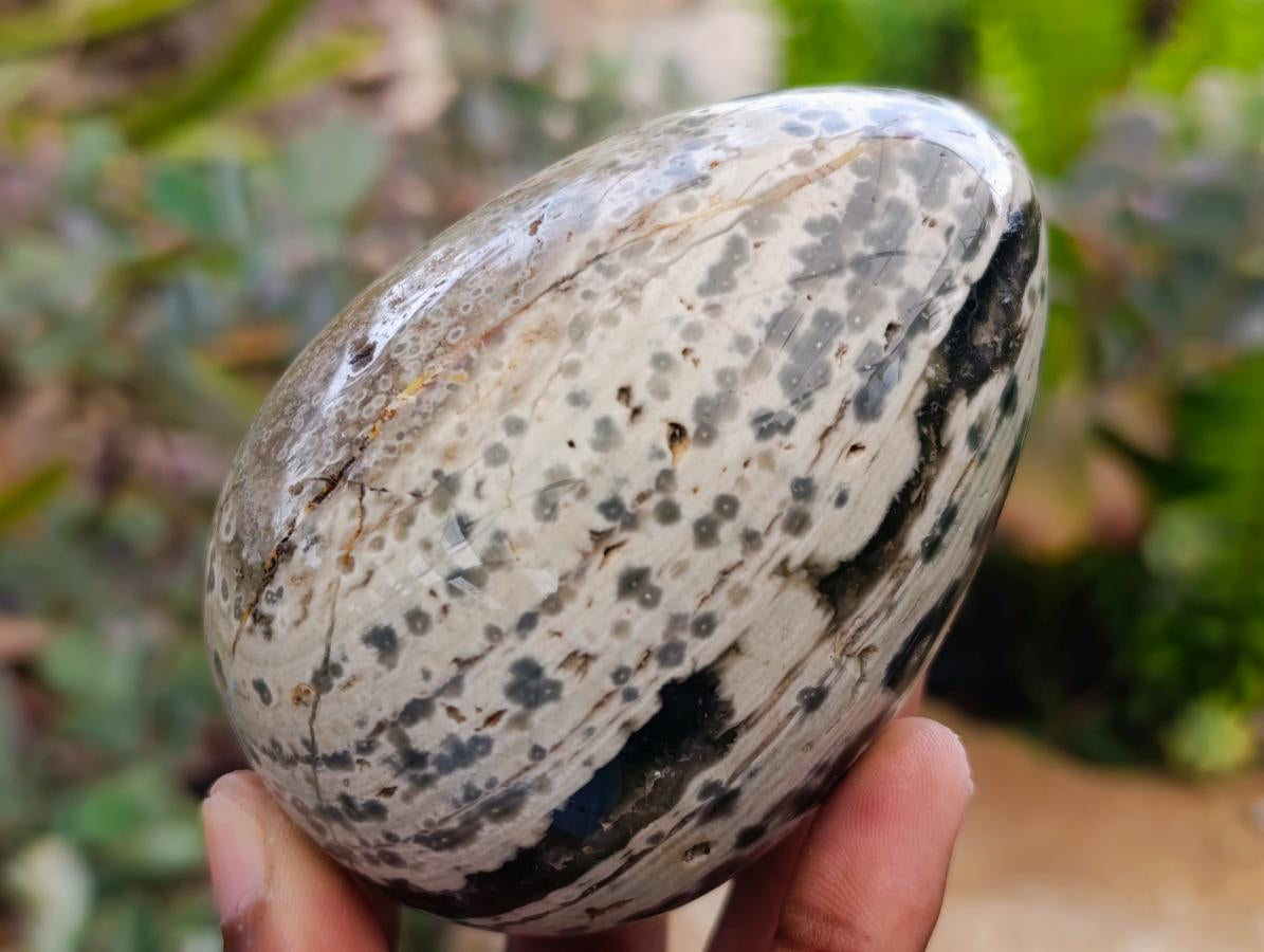 Polished Mix of Different Ocean Jasper Items x 3 From Northwest Coast, Madagascar