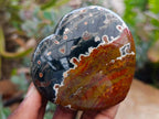 Polished Mix of Different Ocean Jasper Items x 3 From Northwest Coast, Madagascar