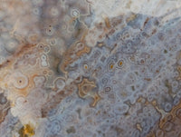 Polished Mix of Different Ocean Jasper Items x 3 From Northwest Coast, Madagascar