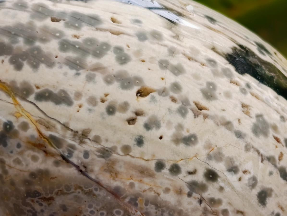 Polished Mix of Different Ocean Jasper Items x 3 From Northwest Coast, Madagascar