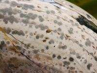 Polished Mix of Different Ocean Jasper Items x 3 From Northwest Coast, Madagascar