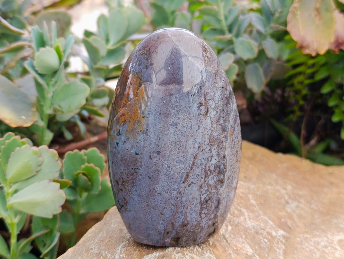 Polished Mix of Different Ocean Jasper Items x 3 From Northwest Coast, Madagascar