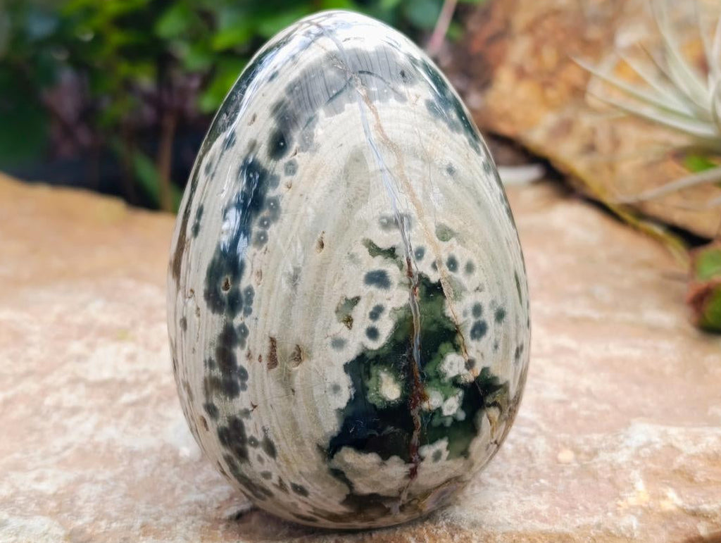 Polished Mix of Different Ocean Jasper Items x 3 From Northwest Coast, Madagascar