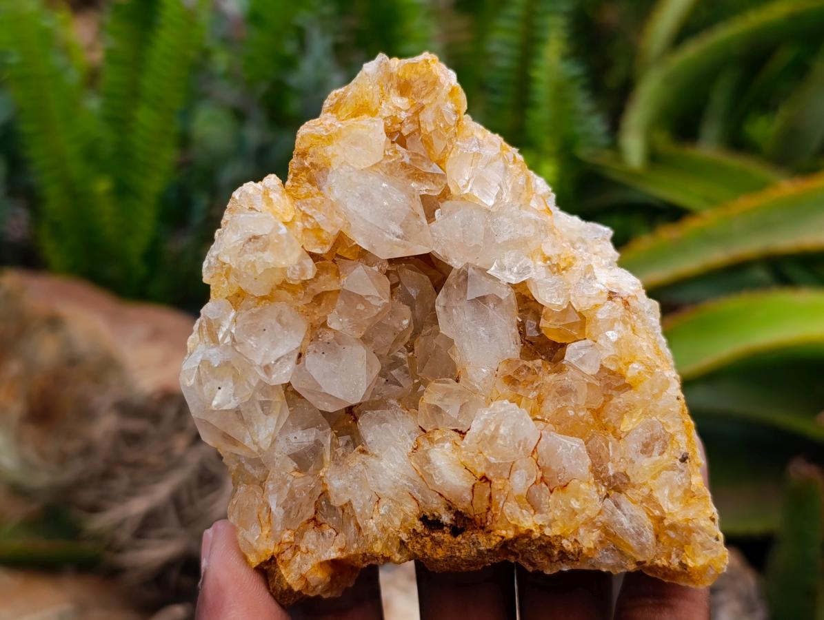 Natural Golden Limonite Quartz Clusters x 6 From Solwezi Zambia