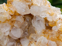 Natural Golden Limonite Quartz Clusters x 6 From Solwezi Zambia