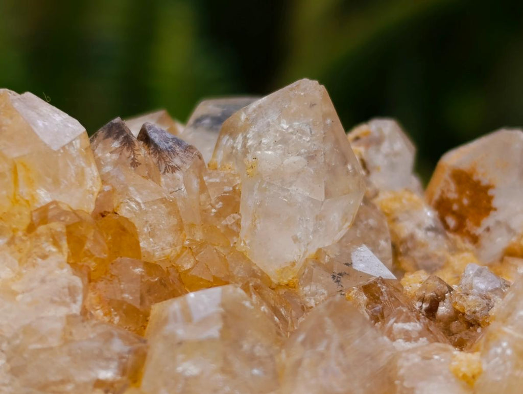 Natural Golden Limonite Quartz Clusters x 6 From Solwezi Zambia