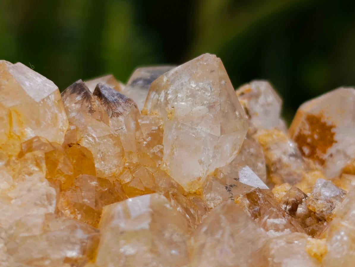 Natural Golden Limonite Quartz Clusters x 6 From Solwezi Zambia