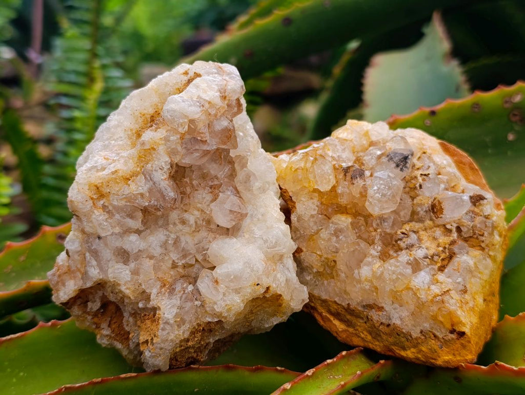 Natural Golden Limonite Quartz Clusters x 6 From Solwezi Zambia