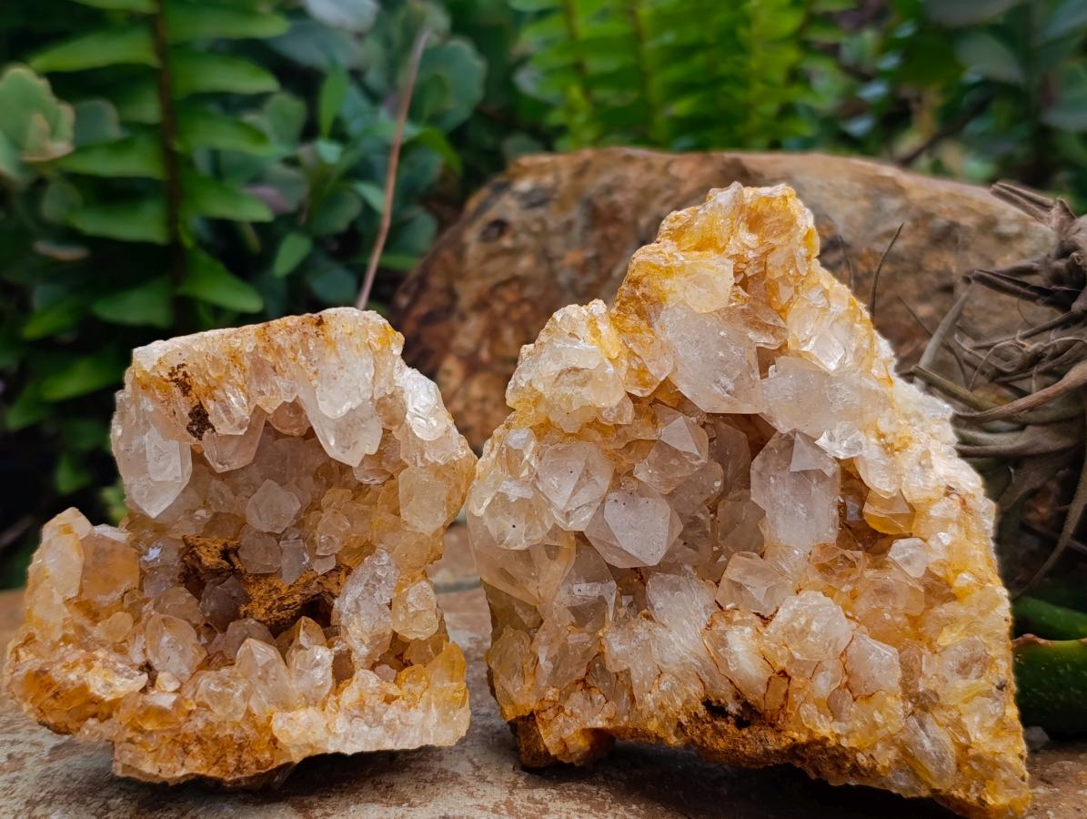 Natural Golden Limonite Quartz Clusters x 6 From Solwezi Zambia