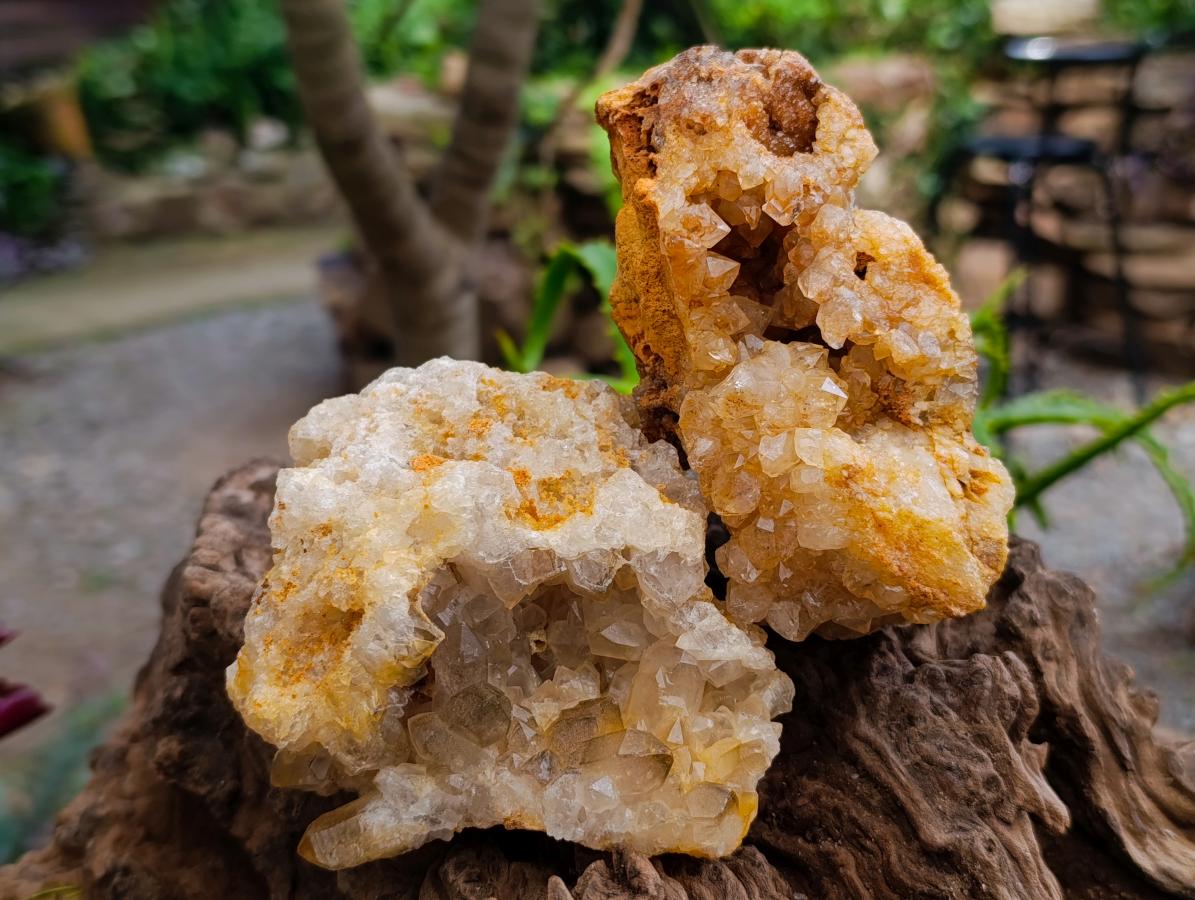 Natural Golden Limonite Quartz Clusters x 6 From Solwezi Zambia