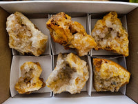 Natural Golden Limonite Quartz Clusters x 6 From Solwezi Zambia