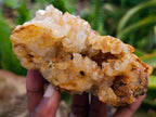 Natural Golden Limonite Quartz Clusters x 6 From Solwezi Zambia