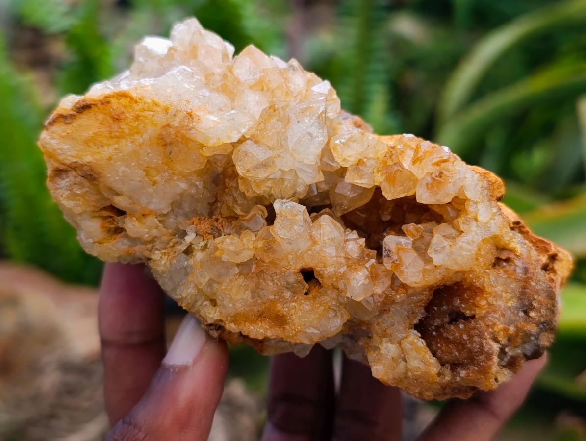Natural Golden Limonite Quartz Clusters x 6 From Solwezi Zambia
