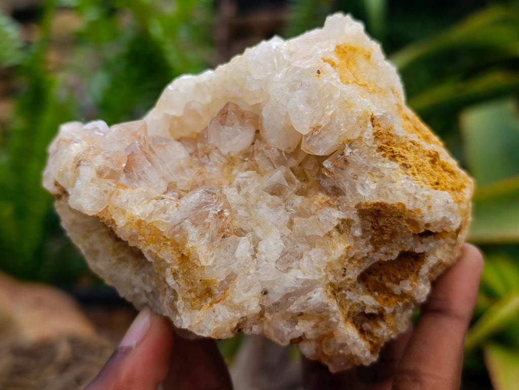 Natural Golden Limonite Quartz Clusters x 6 From Solwezi Zambia