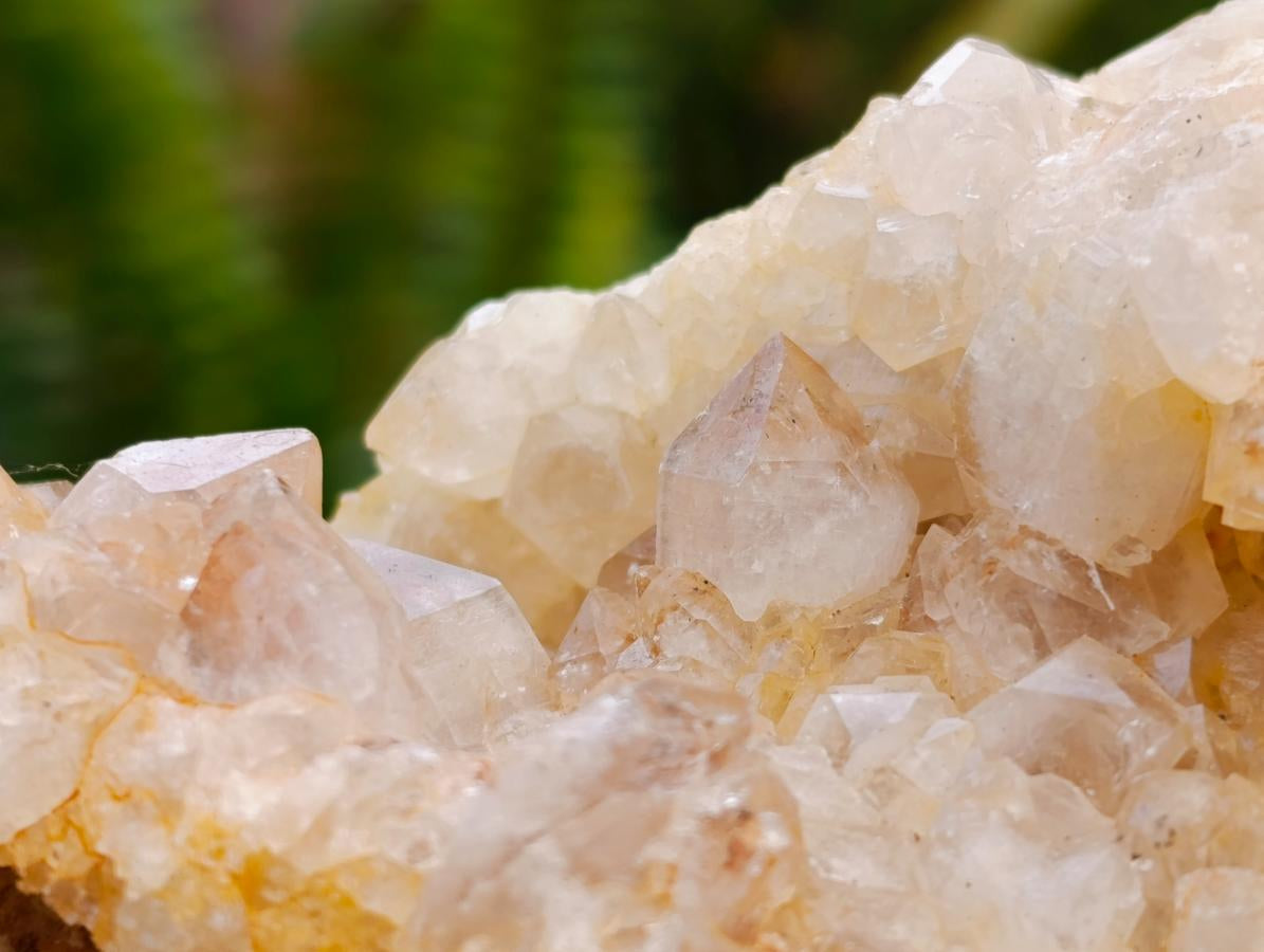 Natural Golden Limonite Quartz Clusters x 6 From Solwezi Zambia