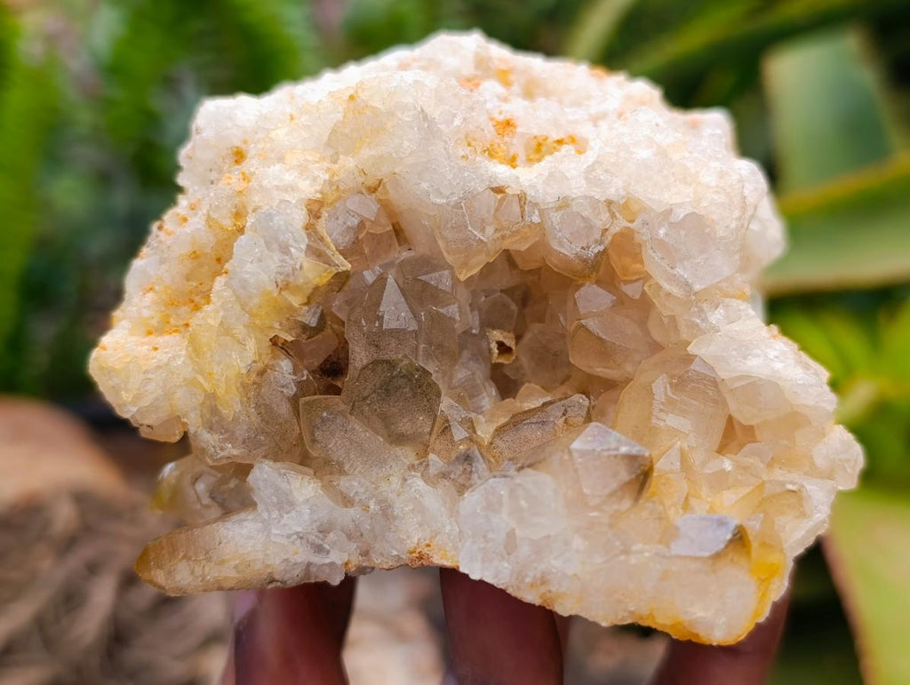 Natural Golden Limonite Quartz Clusters x 6 From Solwezi Zambia