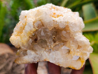 Natural Golden Limonite Quartz Clusters x 6 From Solwezi Zambia