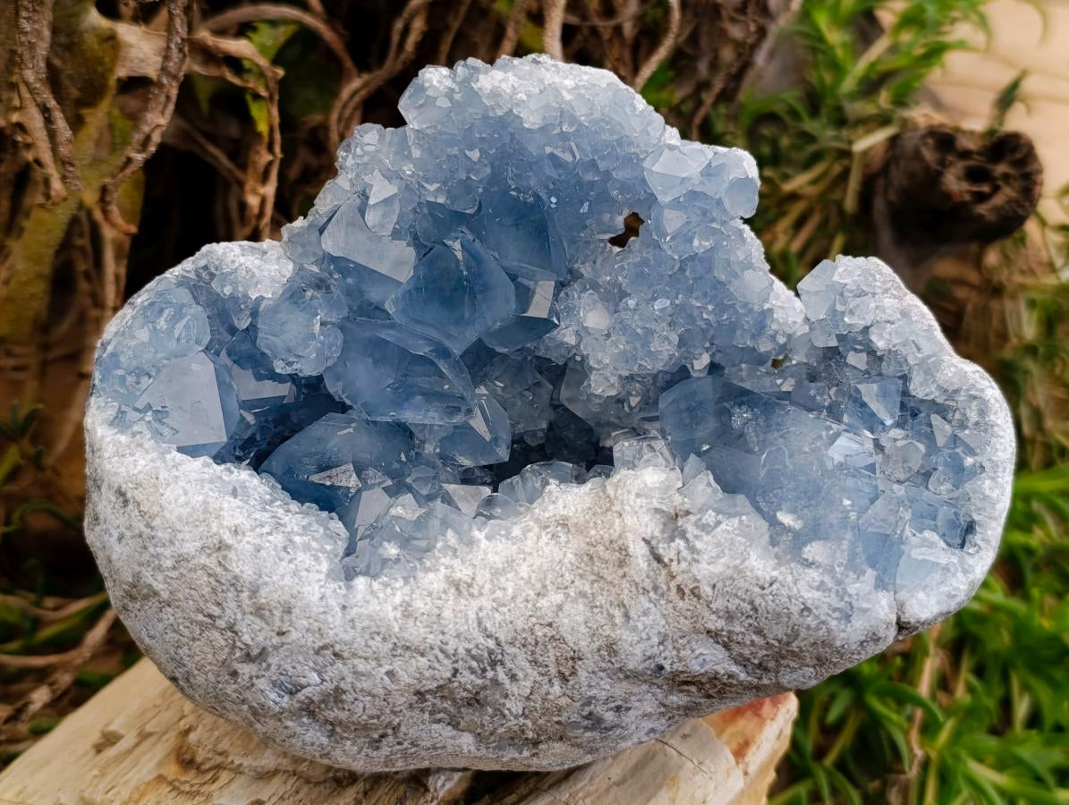 Natural Large Blue Celestite Geode Specimen x 1 From Sakoany, Madagascar