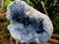Natural Large Blue Celestite Geode Specimen x 1 From Sakoany, Madagascar