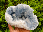 Natural Large Blue Celestite Geode Specimen x 1 From Sakoany, Madagascar