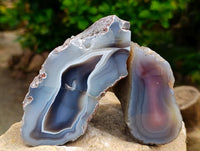 Polished On One Side Red Shashe River Agate Nodules x 4 From Shashe River, Zimbabwe