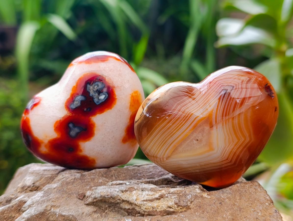Polished Carnelian Agate Gemstone Hearts x 12 From Madagascar