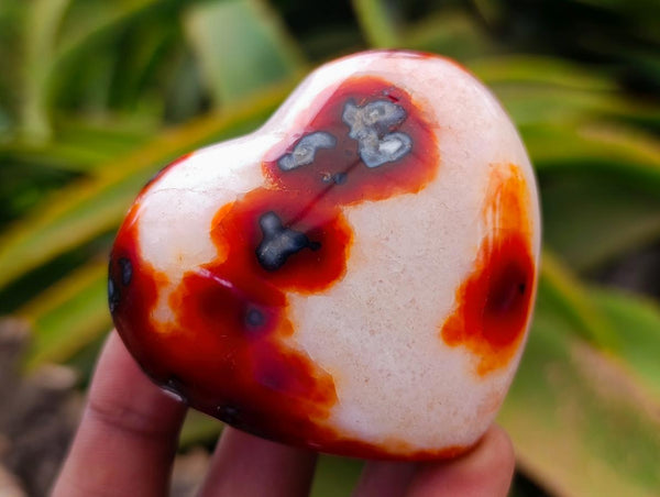 Polished Carnelian Agate Gemstone Hearts x 12 From Madagascar