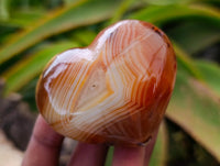 Polished Carnelian Agate Gemstone Hearts x 12 From Madagascar