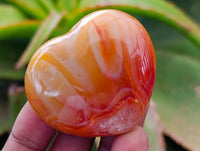 Polished Carnelian Agate Gemstone Hearts x 12 From Madagascar
