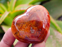 Polished Carnelian Agate Gemstone Hearts x 12 From Madagascar