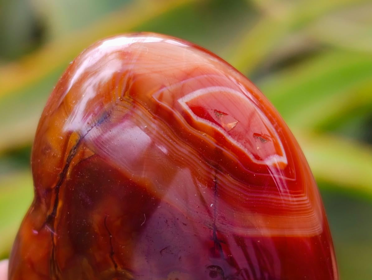 Polished Carnelian Agate Gemstone Hearts x 12 From Madagascar