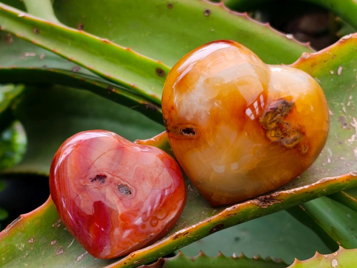 Polished Carnelian Agate Gemstone Hearts x 12 From Madagascar