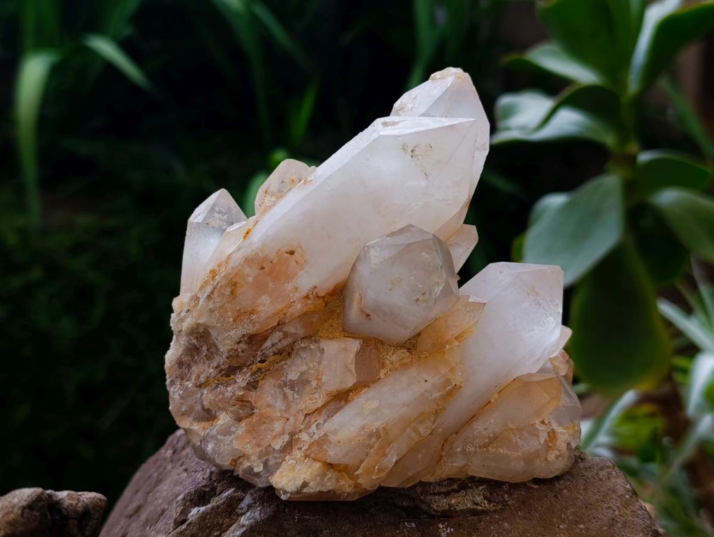 Natural Clear Cascading Quartz Crystal Clusters x 3 From Madagascar