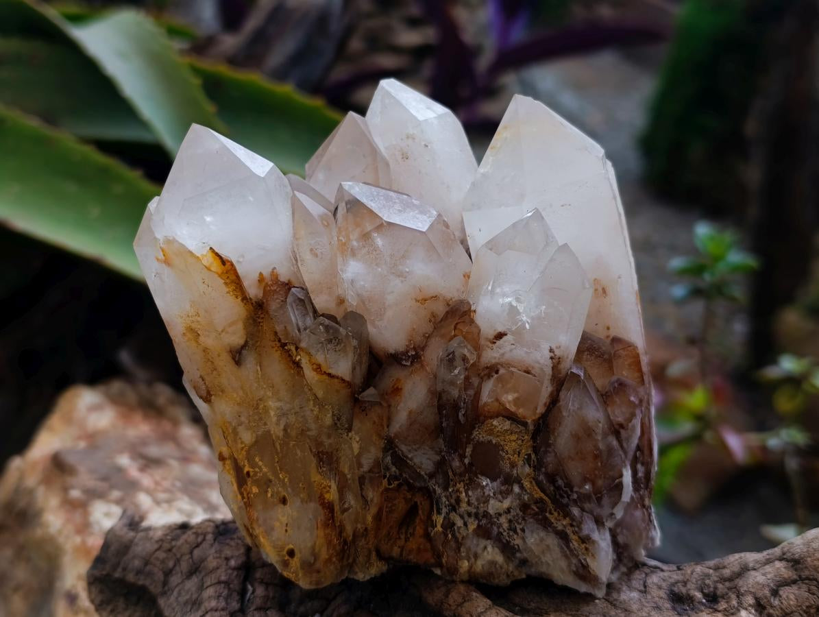 Natural Clear Cascading Quartz Crystal Clusters x 3 From Madagascar