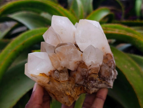 Natural Clear Cascading Quartz Crystal Clusters x 3 From Madagascar - Toprock Gemstones and Minerals 