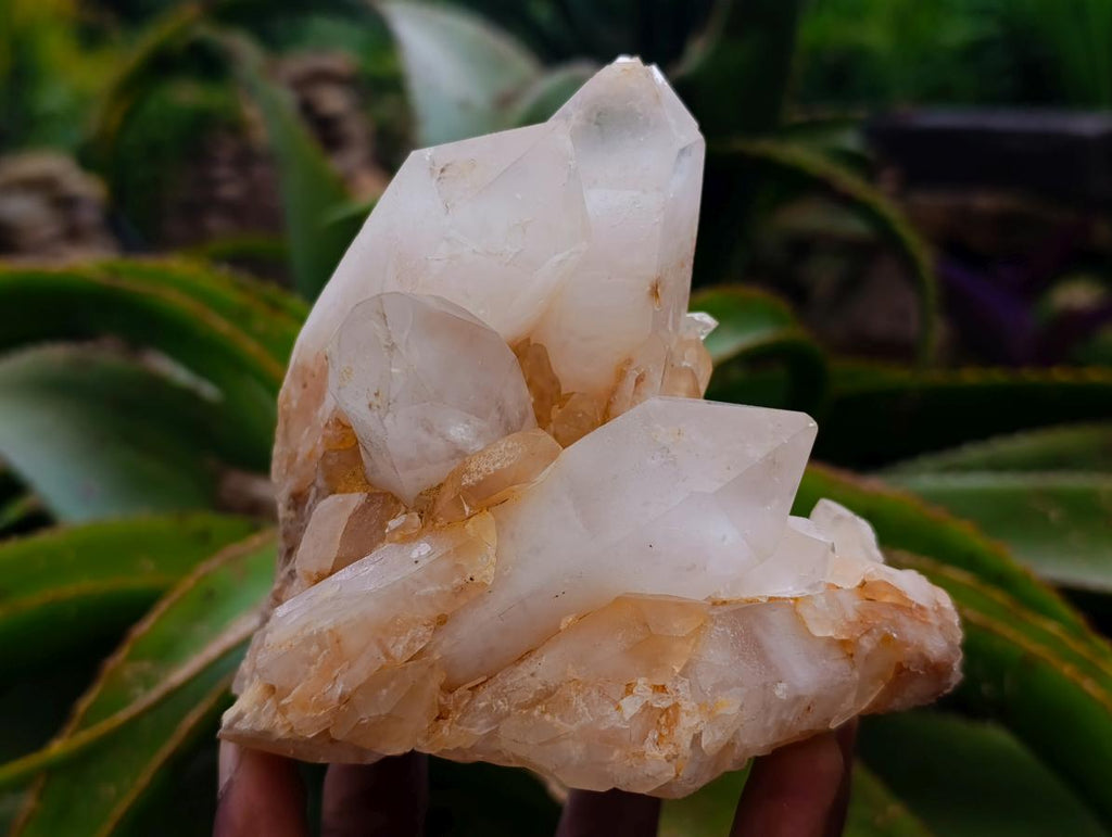 Natural Clear Cascading Quartz Crystal Clusters x 3 From Madagascar