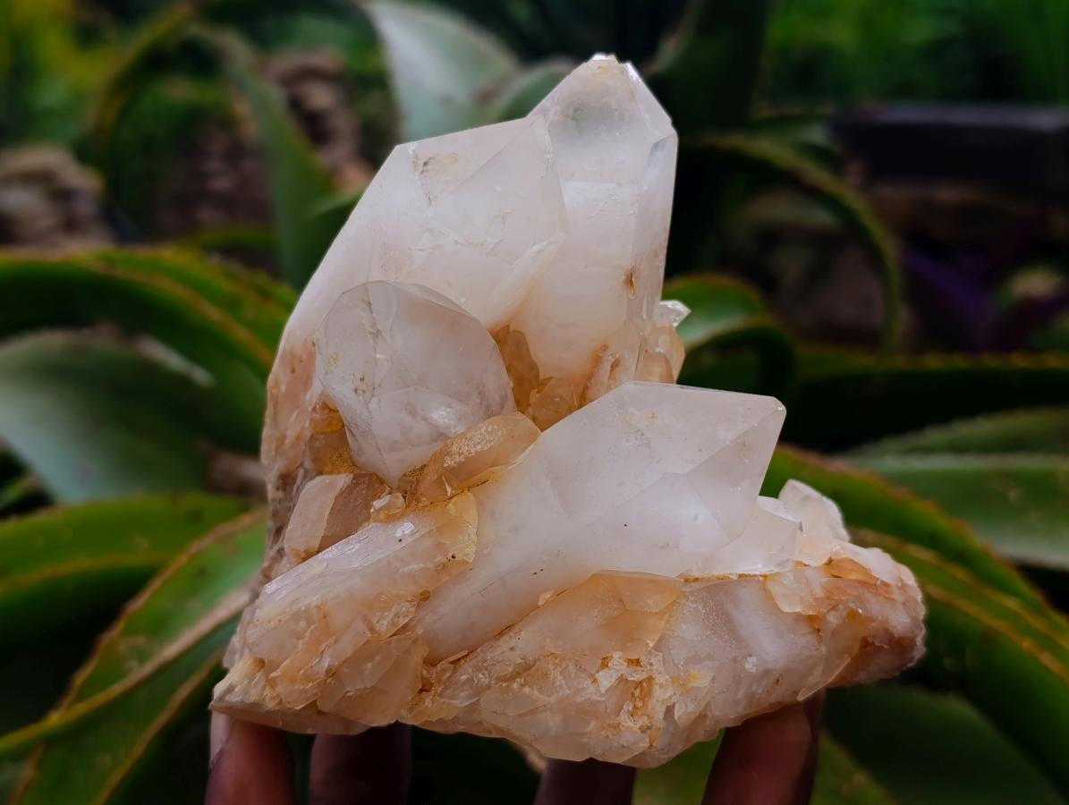Natural Clear Cascading Quartz Crystal Clusters x 3 From Madagascar