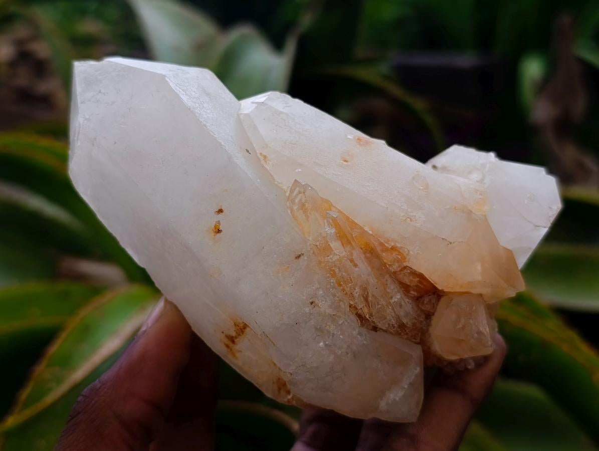 Natural Clear Cascading Quartz Crystal Clusters x 3 From Madagascar