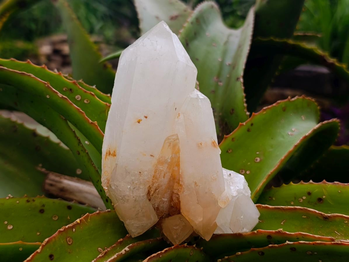 Natural Clear Cascading Quartz Crystal Clusters x 3 From Madagascar