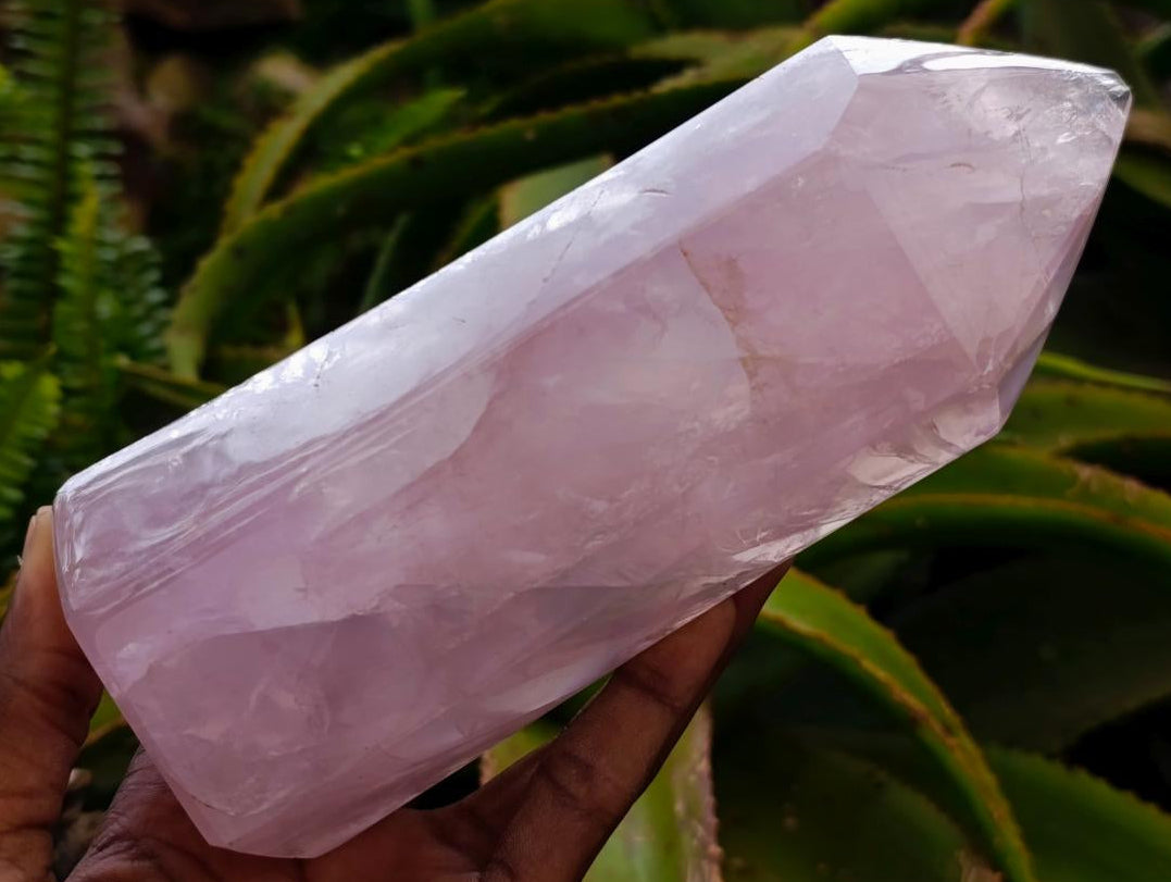 Polished Gemmy Rose Quartz Crystals x 2 From Madagascar