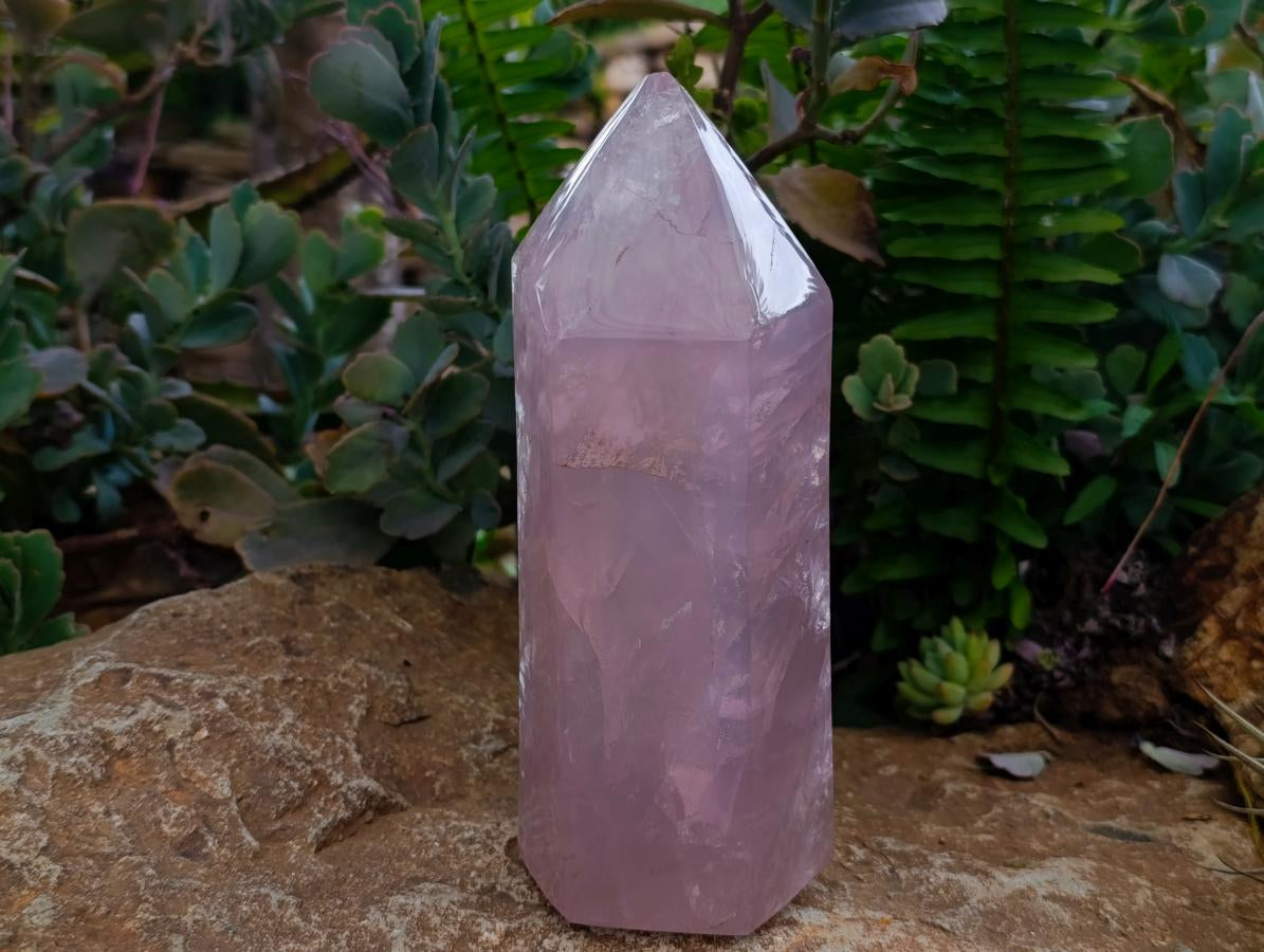 Polished Gemmy Rose Quartz Crystals x 2 From Madagascar