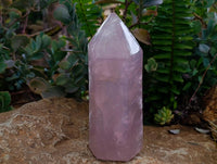 Polished Gemmy Rose Quartz Crystals x 2 From Madagascar