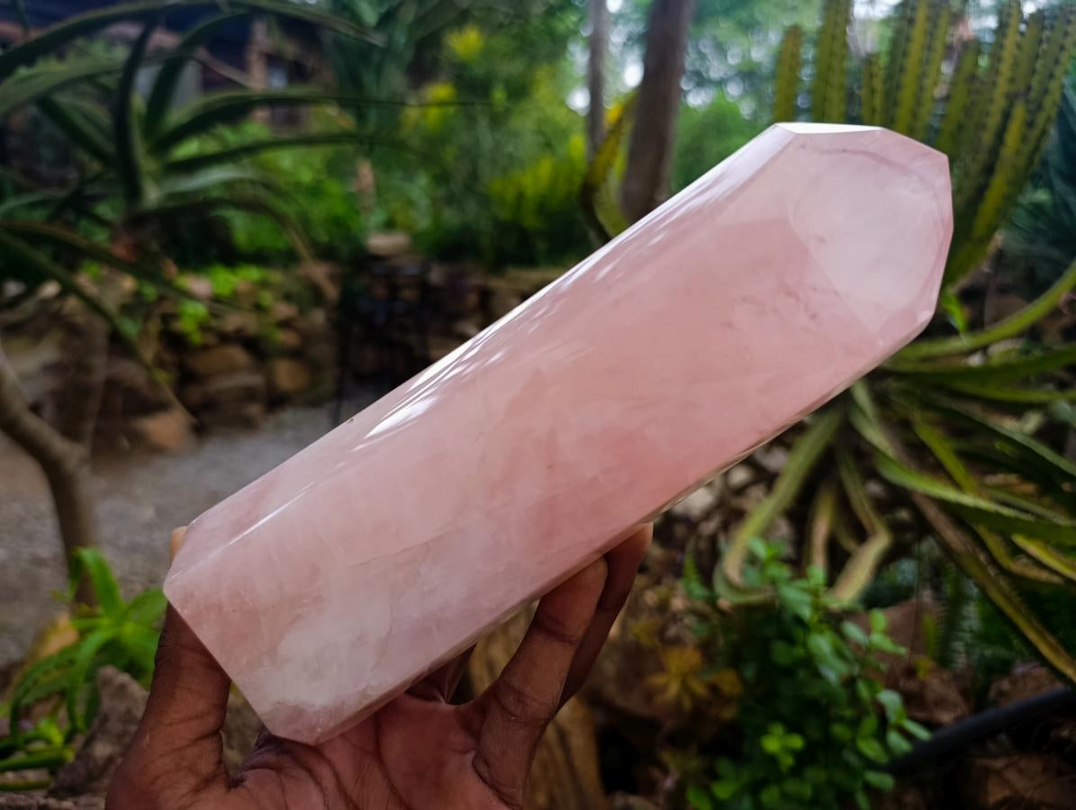 Polished Gemmy Rose Quartz Crystals x 2 From Madagascar