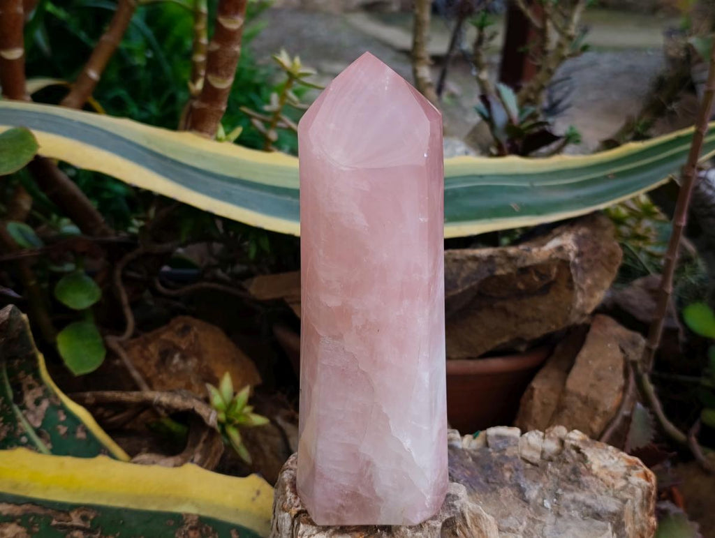 Polished Gemmy Rose Quartz Crystals x 2 From Madagascar