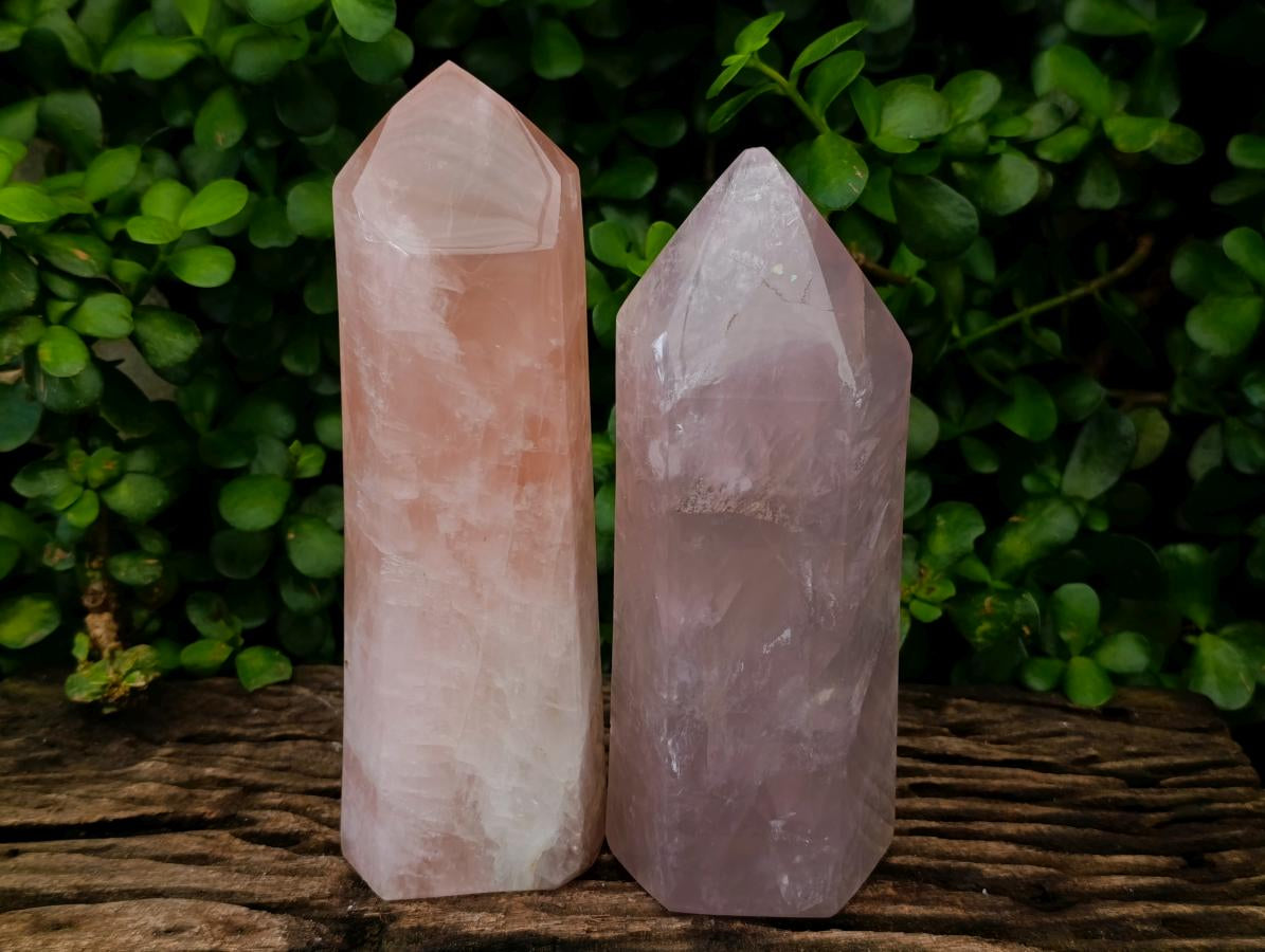 Polished Gemmy Rose Quartz Crystals x 2 From Madagascar