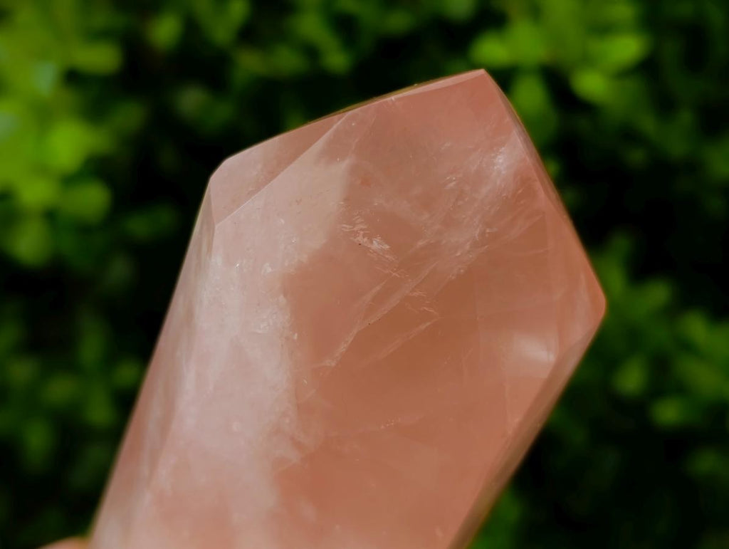 Polished Gemmy Rose Quartz Crystals x 2 From Madagascar